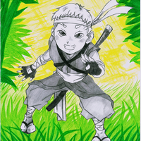 Ninja MatMat
