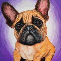 Bull, Bouledogue dans sa Bulle (acrylique 80x40)