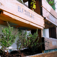 jardiniherbe_01