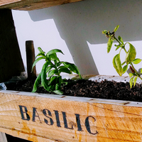 jardiniherbe_11