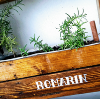 jardiniherbe_12