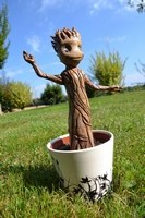 grootV1