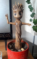grootV2.0-7