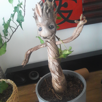 groot3_8